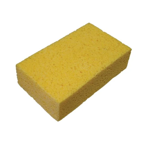 Sponge