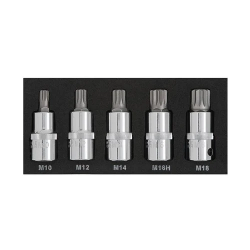 Blue Spot Tools 5PCE 1/2" Spline Bit Set (M10-M18) (EVA FOAM)
