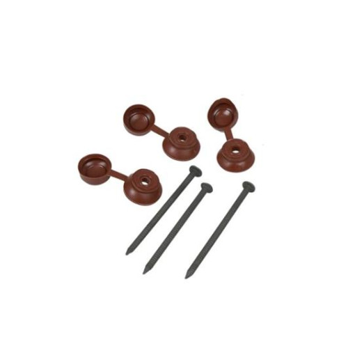 Coroline Nails & Caps (Pk20) Red