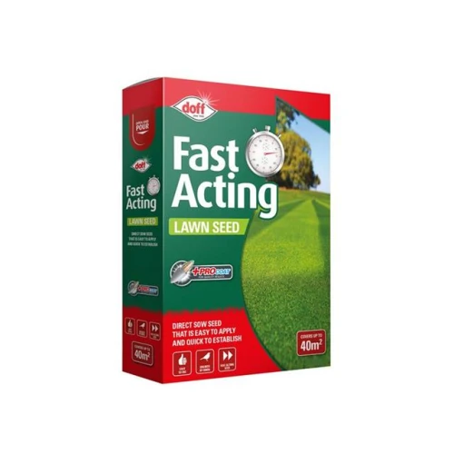 Fast Growing Lawn Seed 500g