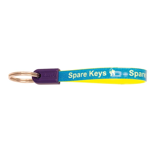 Key Loop Fob Spare Keys
