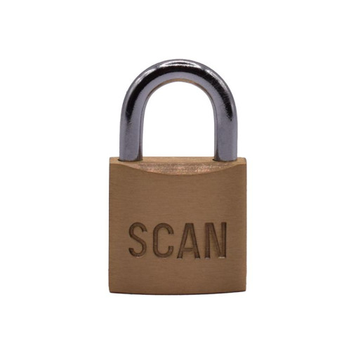 Scan Brass Padlock 25mm