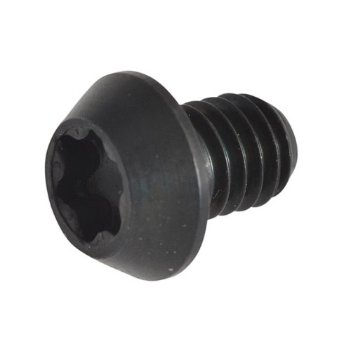Rt/3.5 Replacement Screws
