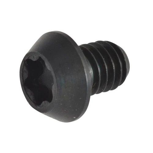 Rt/3.5 Replacement Screws