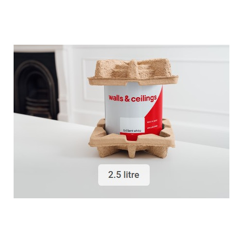 Paint Packaging Fitment 2.5 Litres