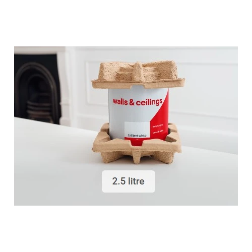 Paint Packaging Fitment 2.5 Litres