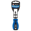 Blue Spot Tools PH2 x 38mm Screwdriver