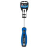 Blue Spot Tools PH2 x 100mm Screwdriver