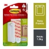 Command 3M Sawtooth Picture Hanger
