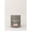 Rust-Oleum Satin Furniture Paint Pink Champagne 125Ml