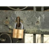 Abus 55/50 50mm Brass Padlock Carded