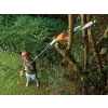 Black & Decker PS7525 Corded Pole Saw 25cm Bar 800 Watt 240 Volt