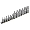 Blue Spot Tools Torx Socket Set of 12 1/4 & 3/8in Square Drive