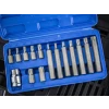 Blue Spot Tools TORX Bit Set 15 Piece