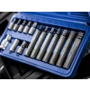 Blue Spot Tools Hex Bit Set 15 Piece