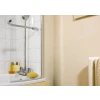 Blackfriar Anti-Mould Solution 500ml