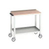 Bott Verso Mobile Welded Bench, Multiplex Wood Top 1000 x 600mm