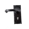 Black AntiqueTraditional Plain Lock Furniture