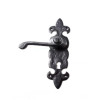 Black Antique Ornate Lock Furniture