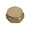 Brass 3/4 Cap Pack of 2