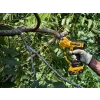 Dewalt DCMPP568P1 XR Pruner 18V 1 x 5.0Ah Li-ion