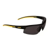 Dewalt DPG99 Polarized Lens Safety Glasses