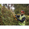 Dewalt DCMHT563N XR Hedge Trimmer 18V Bare Unit