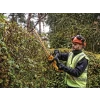 Dewalt DCMHT563N XR Hedge Trimmer 18V Bare Unit