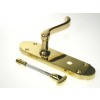 Door Handle Bathroom ELY SCP
