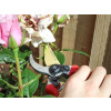 Faithfull Countryman Professional Bypass Secateurs 215mm (8in)