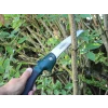 Faithfull Countryman Folding Pruning Saw 175mm (7in)