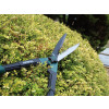 Faithfull Countryman Hedge Shear 250mm (10in)
