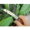 Faithfull Countryman Budding & Pruning Knife