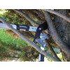 Faithfull Countryman Ratchet Bypass Telescopic Lopper