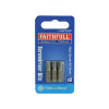 Faithfull Security S2 Grade Steel Screwdriver Bits T30S x 25mm (Pack 3)