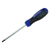 Faithfull Screwdriver Star (TORX) Tip TX20 x 100mm