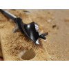 Faithfull Tri-Point Speed Auger Bit 25mm