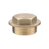 1" Brass Plug Pack of 2