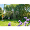 Hozelock Rectangular Sprinkler Pro 220m²