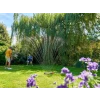 Hozelock Rectangular Sprinkler Pro 220m²