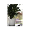 Hozelock Aquasolo Cone Green/Medium 16in Pots (4)