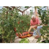 2810 Growbag Waterer