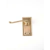 Premium Georgian Brass Latch Furniture