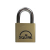 Squire LN3 Lion Brass Padlock 30mm