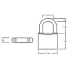 Squire LN3 Lion Brass Padlock 30mm