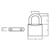Squire LN4 Lion Brass Padlock 5 Pin 40mm