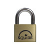 Squire LN5 Lion Brass Padlock 5 Pin 50mm