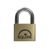 Squire LN5 Lion Brass Padlock 5 Pin 50mm