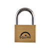 Squire LN5S Lion Marine Padlock 5-Pin 50mm