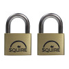 Squire LN5T Lion Brass Padlocks 5 Pin 50mm (2)